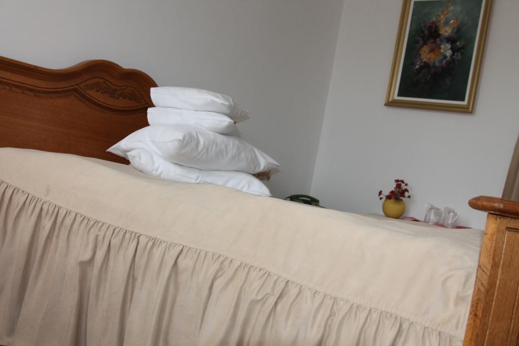 Hotel Zimbru Câmpulung Moldovenesc Habitación foto